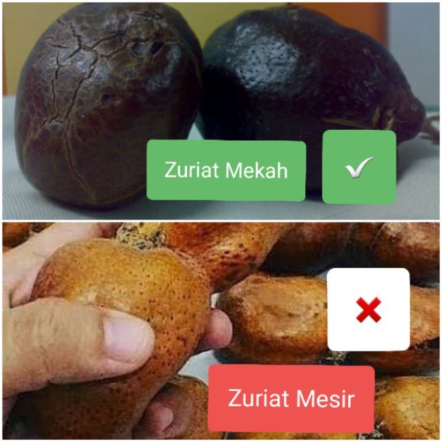 Sepasang Buah Kembar 2biji Saiz Kecil Buah Zuriat Mekah Ikhtiar Hamil Shopee Malaysia