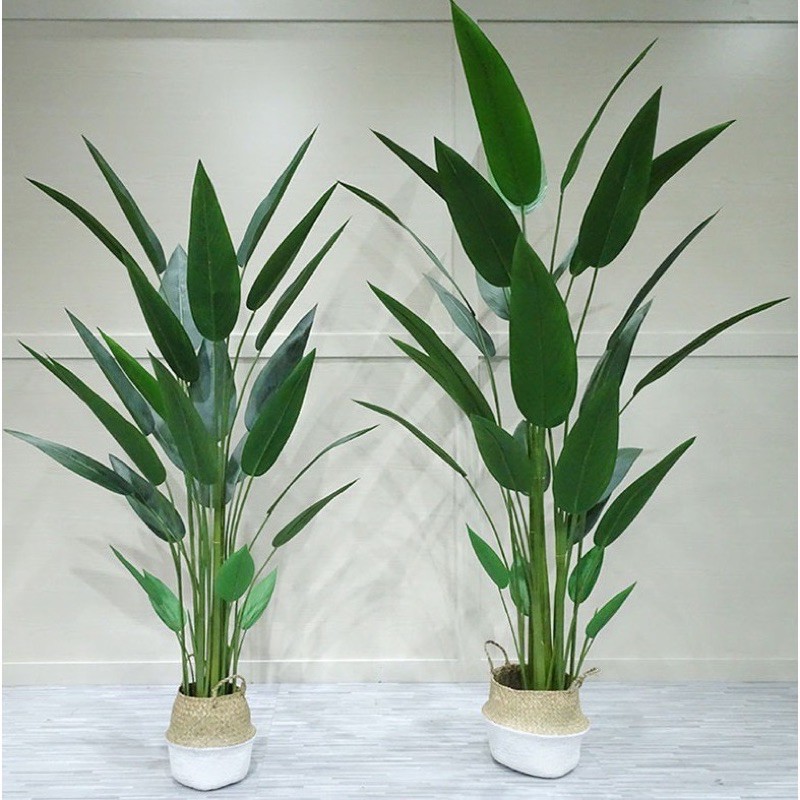 Buy Premium Artificial Banana Skybird Plant Pokok Hiasan Viral Artificial Plant Seetracker Malaysia