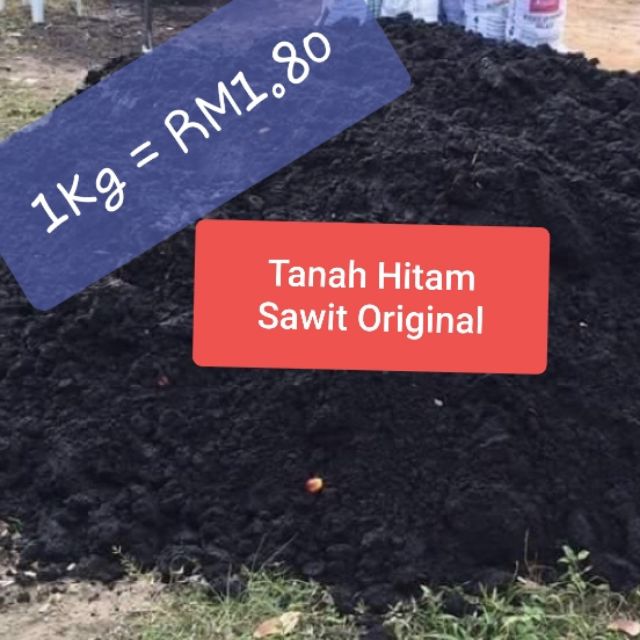 Murah Tanah Baja Sawit Hitam Bakar Organik Tanah Sawit 1kg Organic Fertilizer Shopee Malaysia