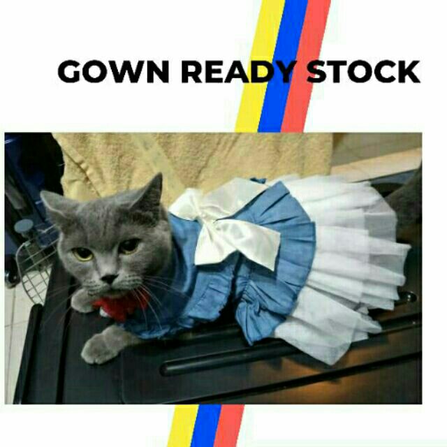 Pet Clothes] Pet Gown Gaun Kucing Haiwan Baju kucing murah 