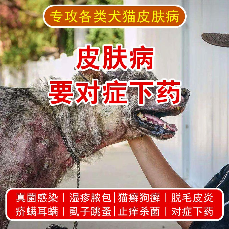 摩登狗螨康喷剂宠物犬猫皮肤病猫咪狗狗除螨虫去跳蚤体内外驱虫清 Shopee Malaysia