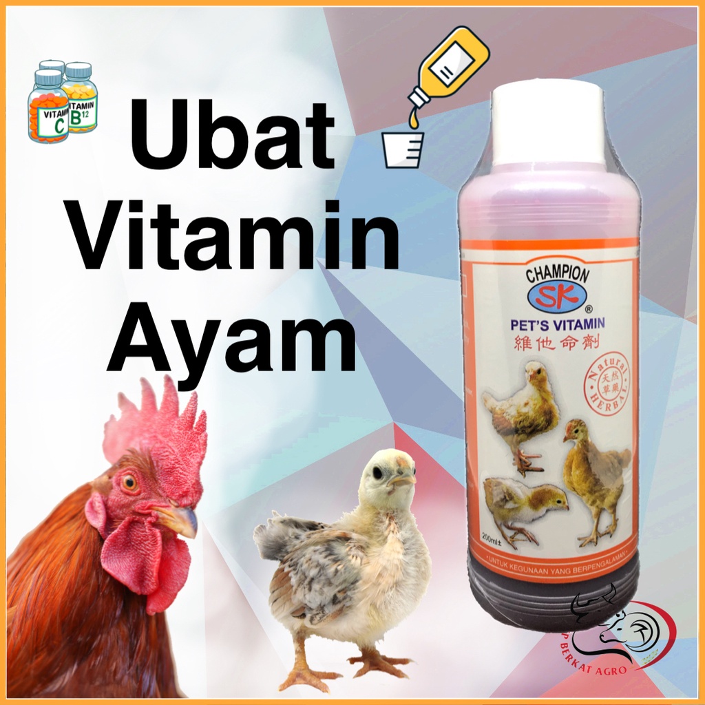 SK CHAMPION Vitamin Ayam ubat ayam anpicine 707 ubat puru ayam ubat