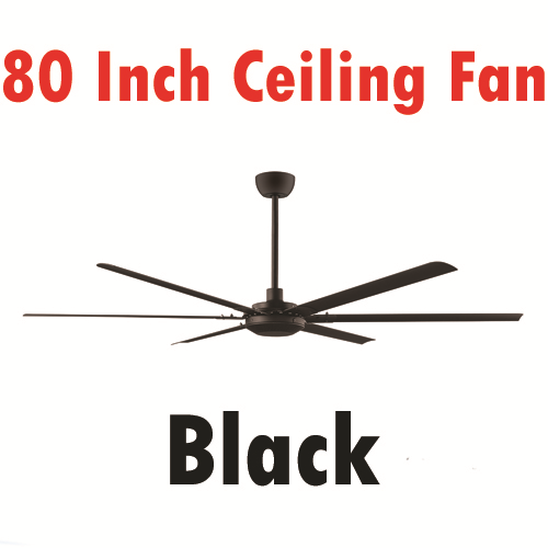 3 Years Warranty Modern Ceiling Fan 80, 80 Ceiling Fan