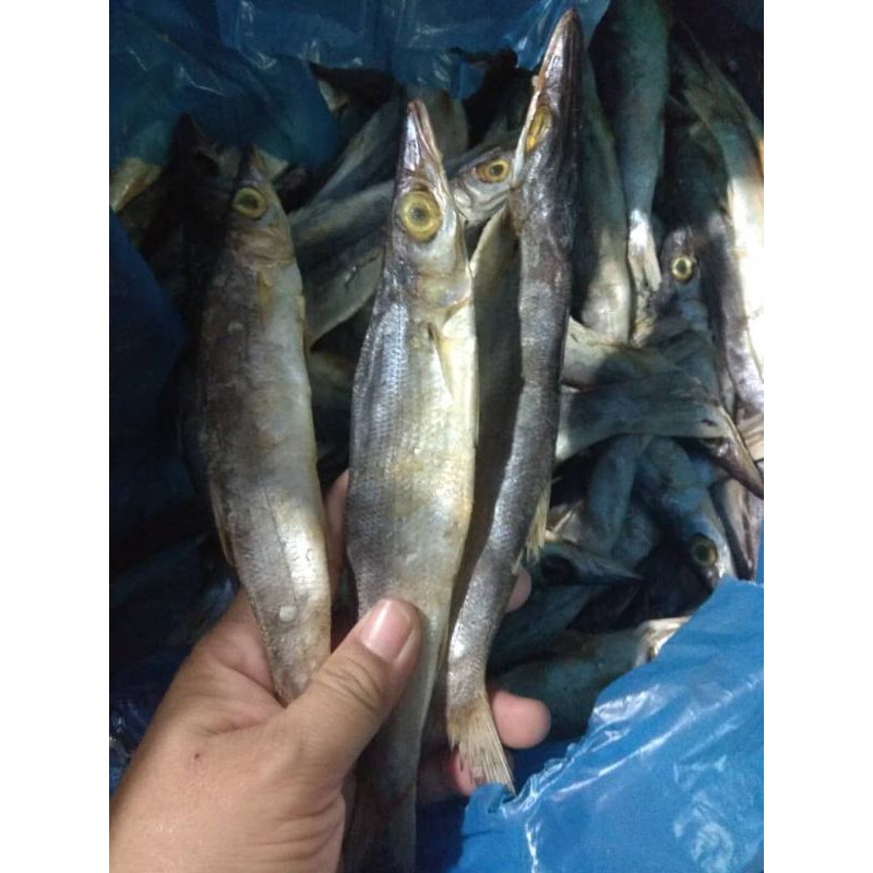 Buy Ikan Tete Asli Dari Padang Sumatra Barat Indonesia Seetracker Malaysia