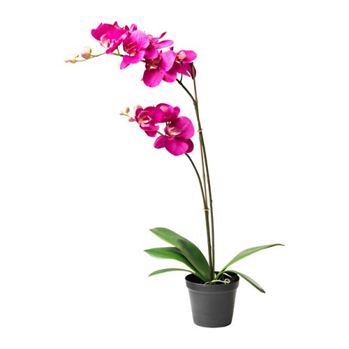 IKEA FEJKA ORCHIDS/ Lifelike artificial plant, remain as freshlooking