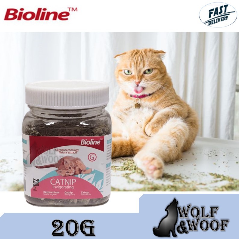 Bioline Catnip Invigorating 20g | Shopee Malaysia