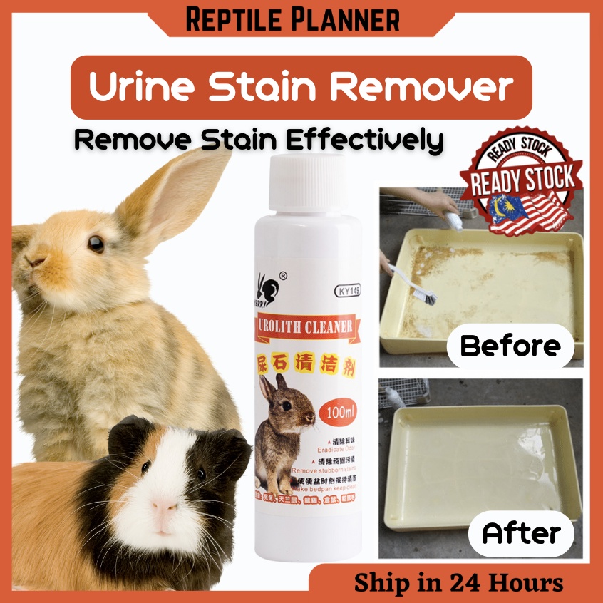 Pet Urine Stain Remover Easy Clean Rabbit Cage Chinchilla Guinea Pig