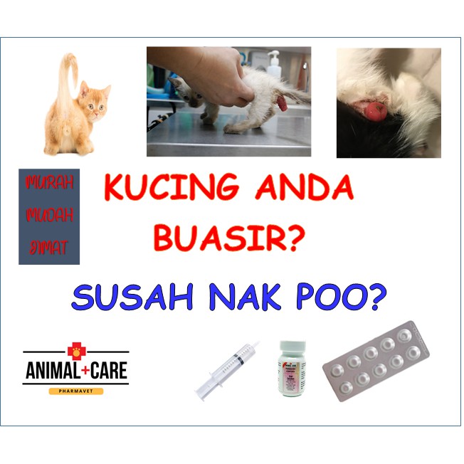 Ubat Gatal Buasir  Gubuk Kertas