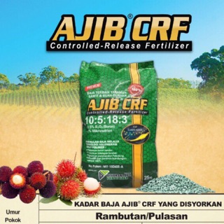 Baja Pokok Pisang 25kg 🍌🍌🍌🍌🍌  Shopee Malaysia