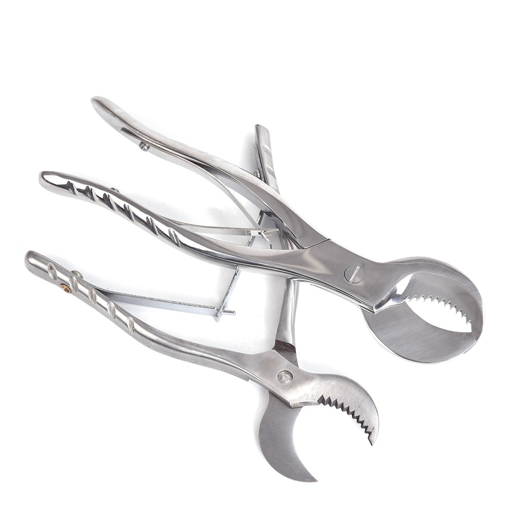 Maxmartt Cutting Pliers,8inch/20cm Stainless Steel Lab Plaster Shears Scissor Surgical Tool 