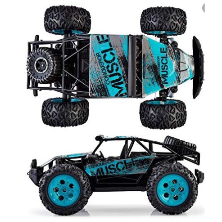 off road sneak rc car