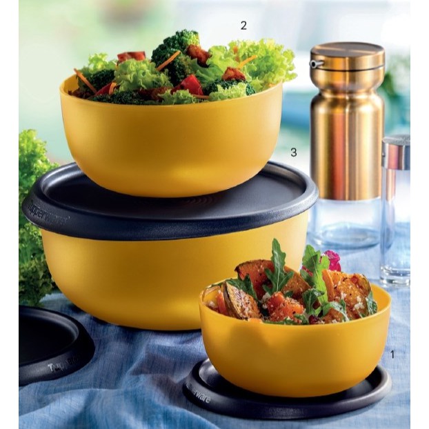 TUPPERWARE 55TH ANNIVERSARY SET (LIMITED EDITION)