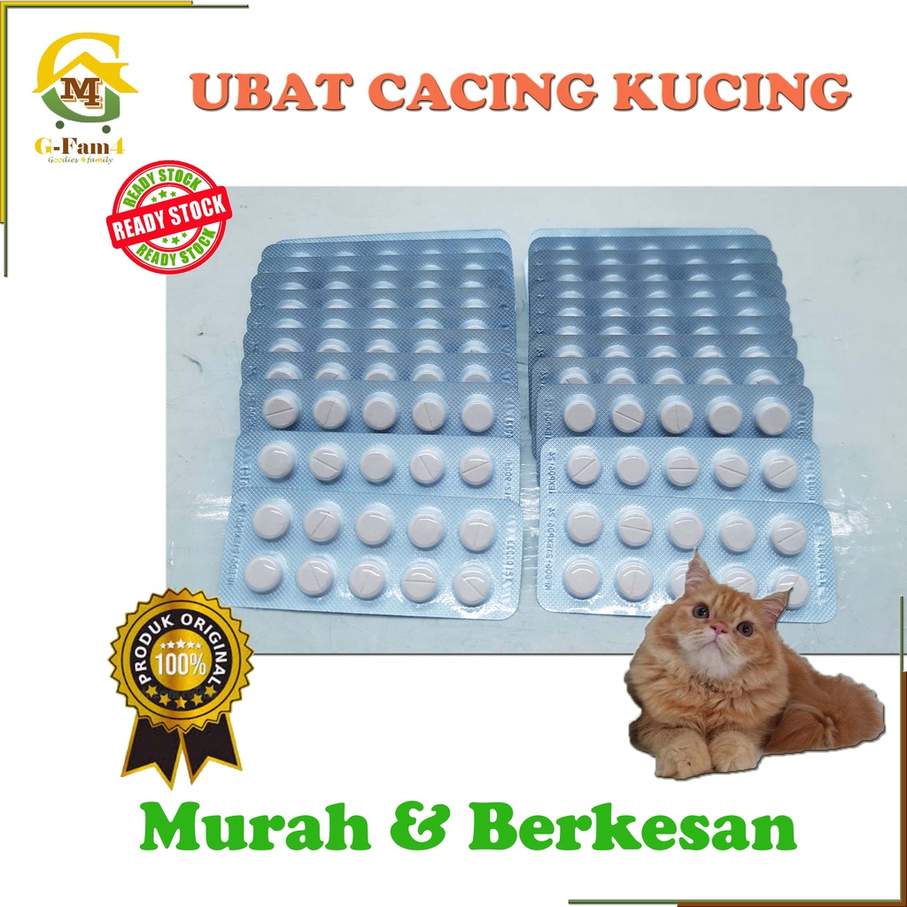 Ubat Cacing Kucing (1 Biji) *Murah* *Berkesan*  Shopee Malaysia