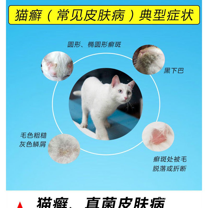 Pet Medical Cats Dogs Kucing 猫藓喷剂外用猫癣药猫咪幼猫真菌瘙痒 