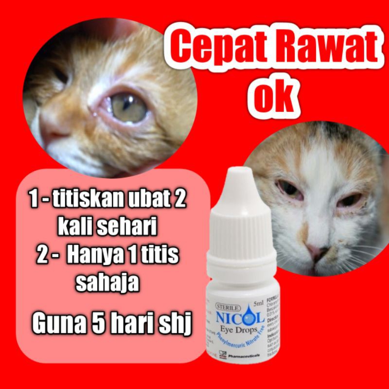 nicol 5ml ubat kesihatan mata kucing ,anjing, cepat sihat mata 