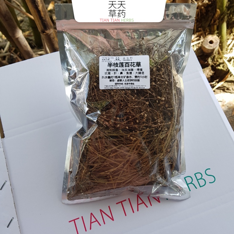 百花蛇舌草半枝莲 OLDENLANDIA DIFFUSA (36g) 45人 天然解毒凉茶 天然抗癌草药 Herbal Tea 涼茶包
