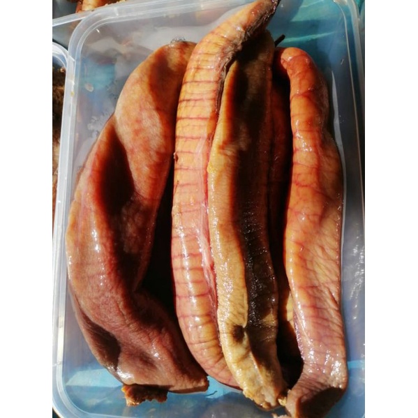 Pembekal Telur Ikan Tenggiri In Penang