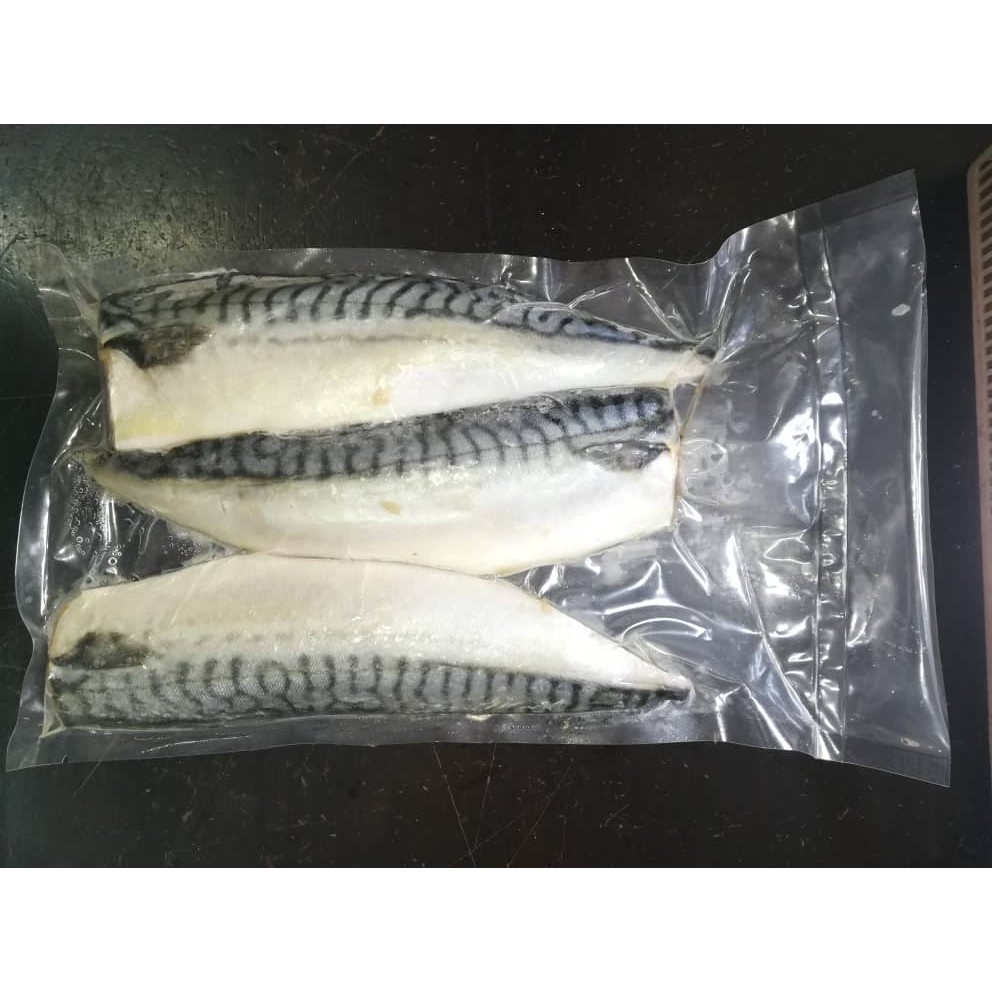 Saba Fillet Norway Mackerel Fillet (480g 540g) 3pcs 鲭鱼 (SJ32
