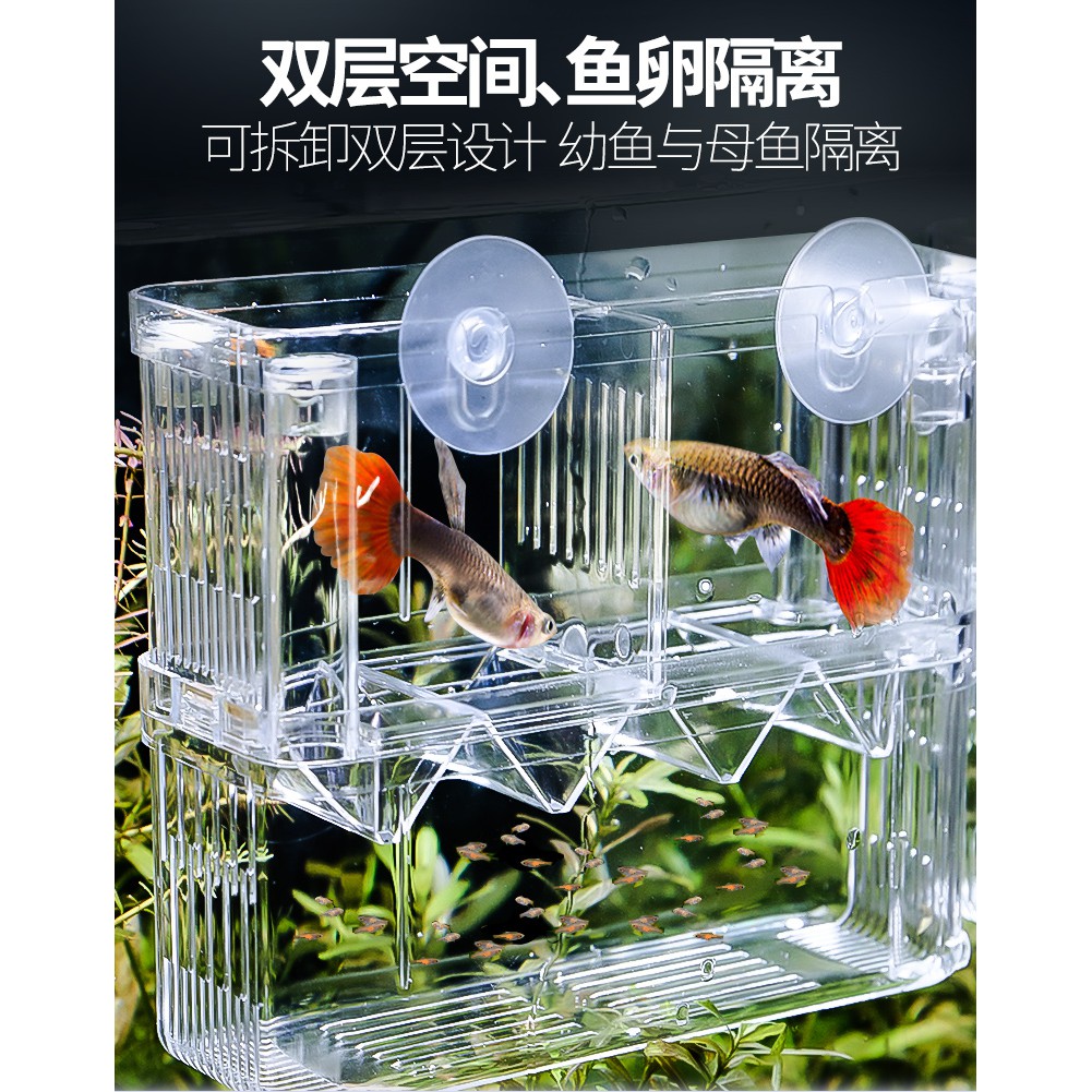 Small Fish Breeding Box 繁殖盒 隔離盒 孔雀魚繁殖盒魚缸魚苗孵化器隔離盒小魚孵化盒大號亞克力魚卵產房 6f12