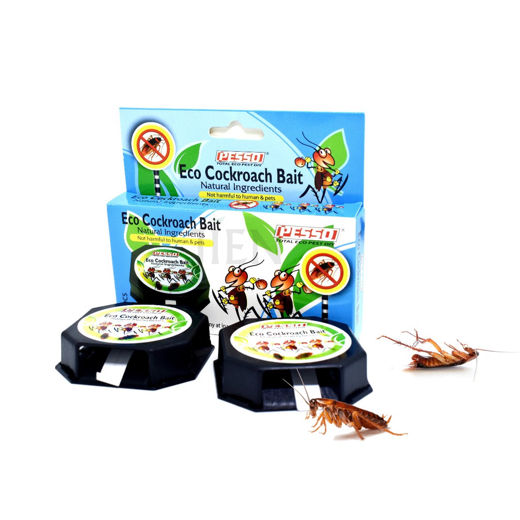 Pesso Eco Cockroach Bait With Natural Ingredients, Umpan Lipas Dengan ...