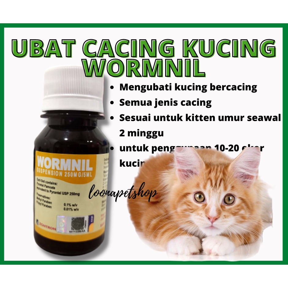 Ubat Cacing Kucing Wormnil 60ml Shopee Malaysia