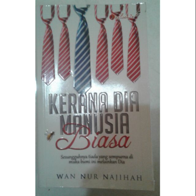 Novel kerana dia manusia biasa