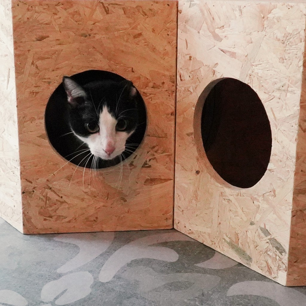 Cat condos Cat House Cat Box SI COMEL Rumah Kucing Cat House Cat 