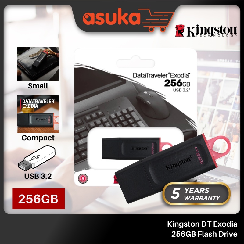 Kingston DT Exodia 256GB Flash Drive