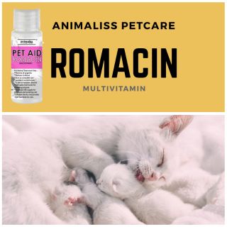 Ubat batuk kucing 100ml  Shopee Malaysia