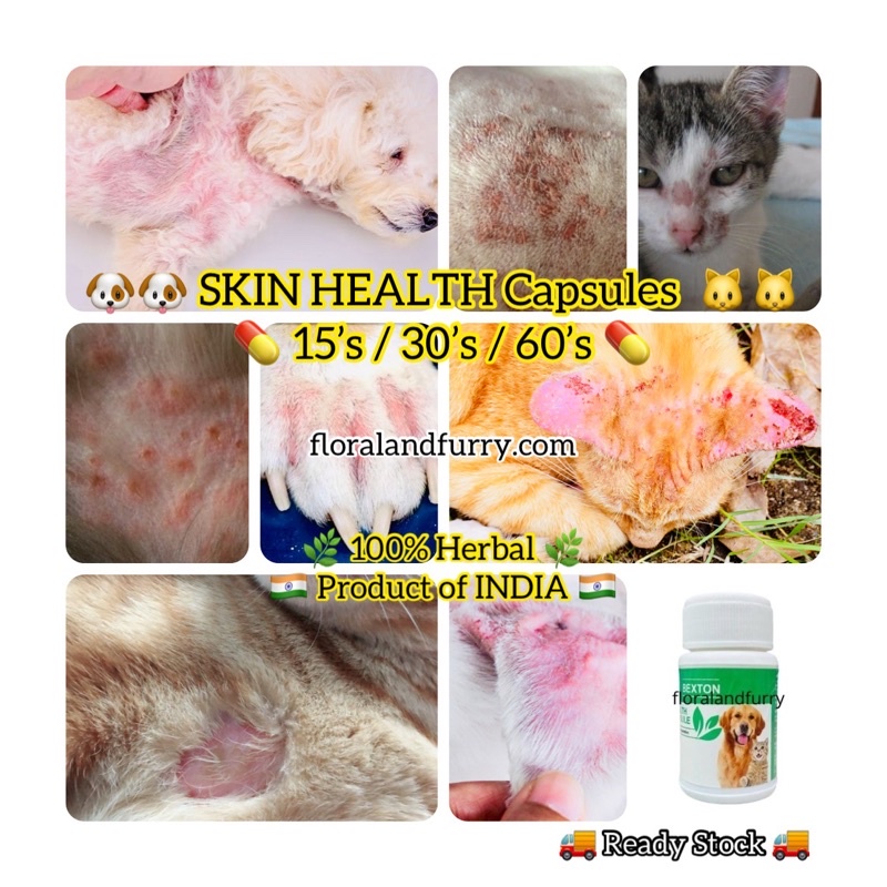 Bexton Skin Care Treatment Herbal Capsule Cat Dog Skin Problem Disease