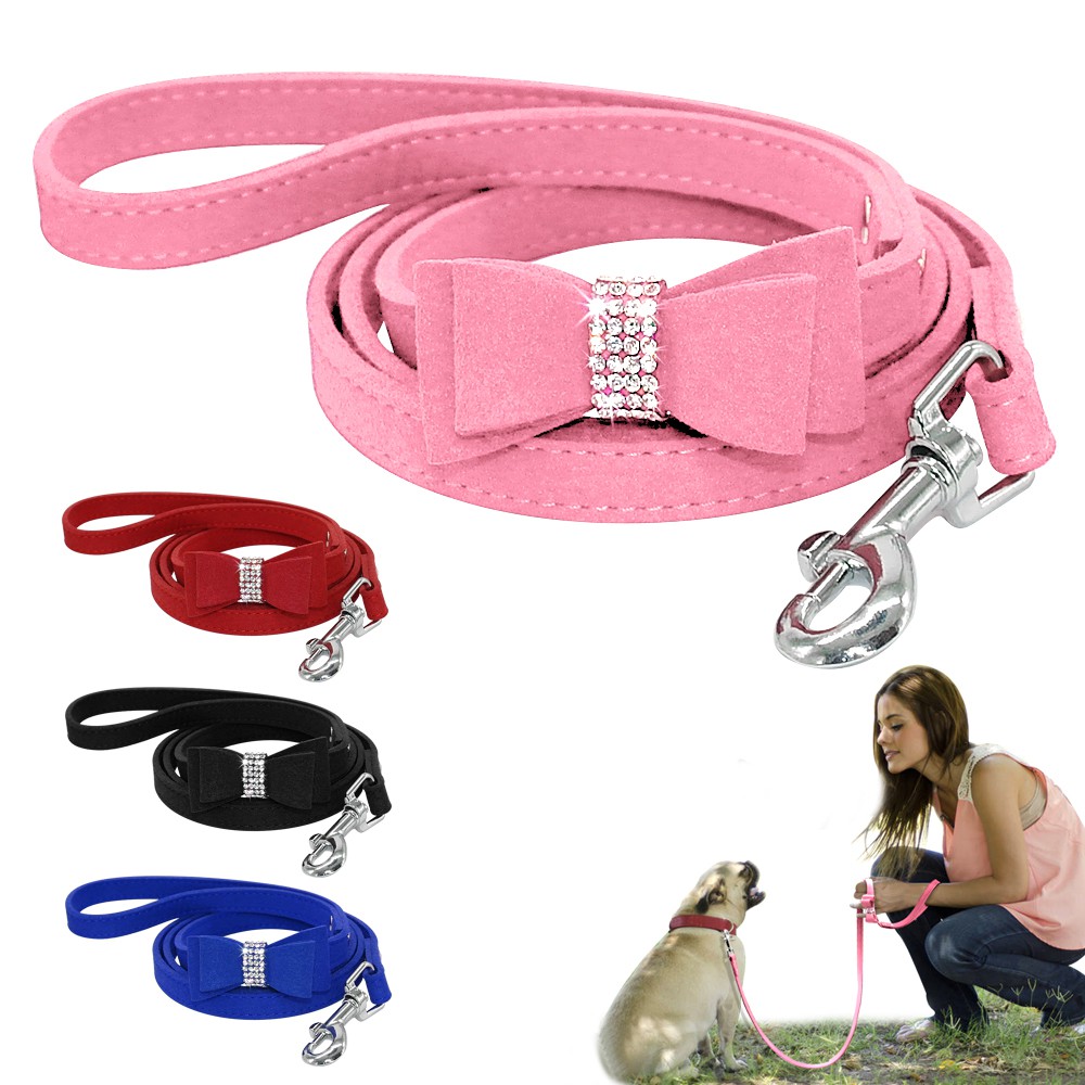 cute dog leads