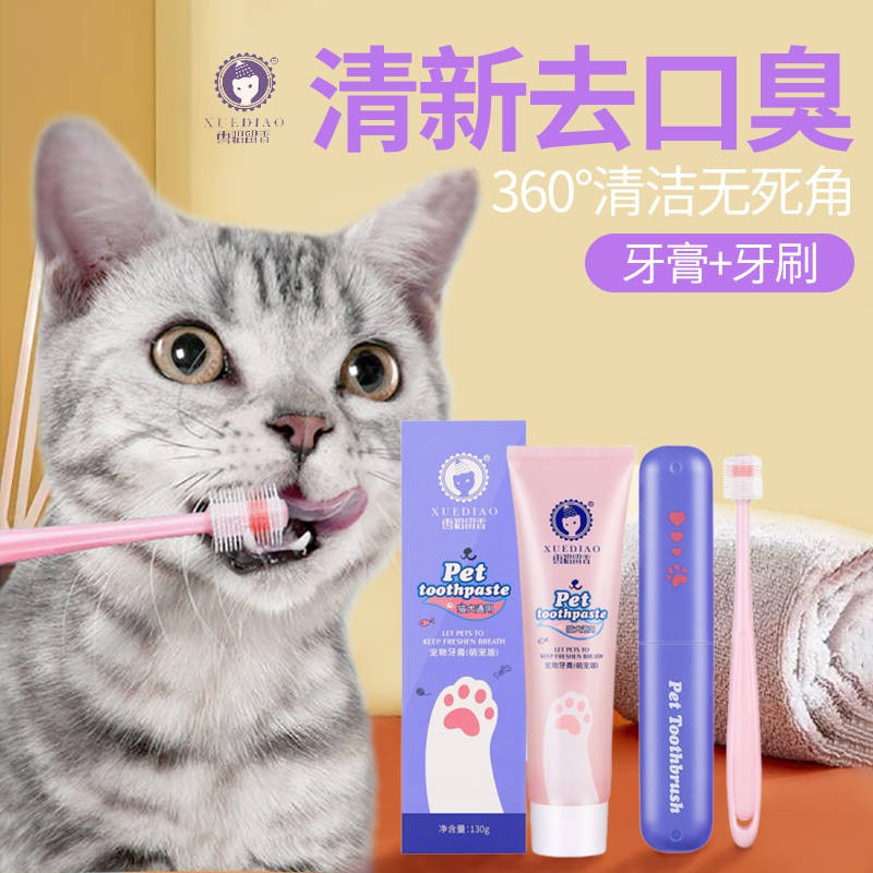 cat toothbrush toothpaste