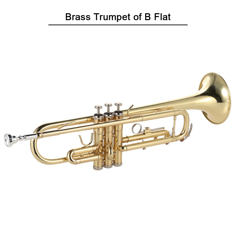 The Difference Between The Trumpet And The Spinditty