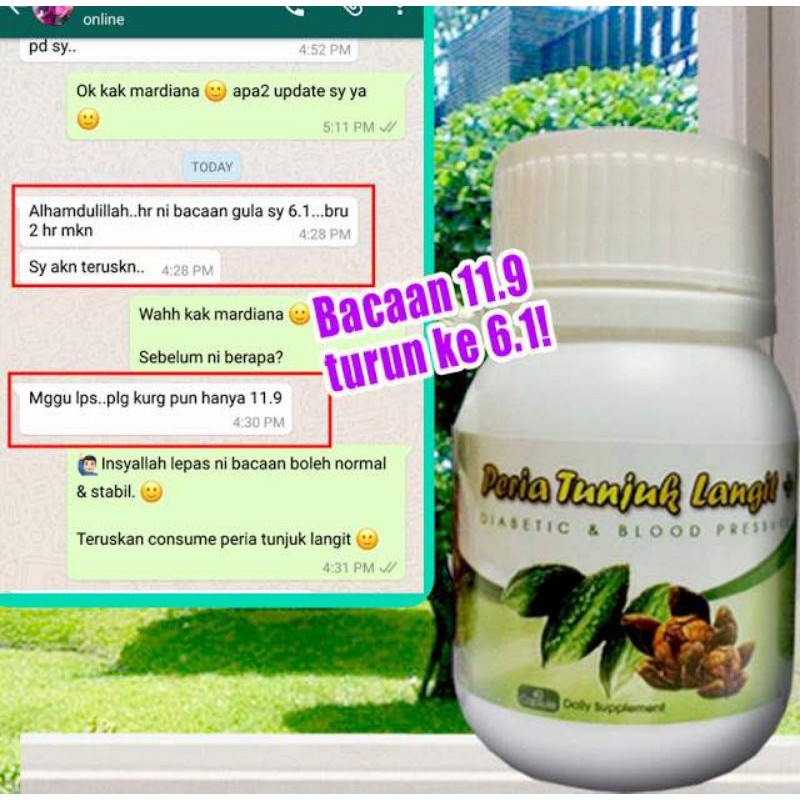 Buy peria tunjuk langit penawar kencing manis darah ringgit 100 