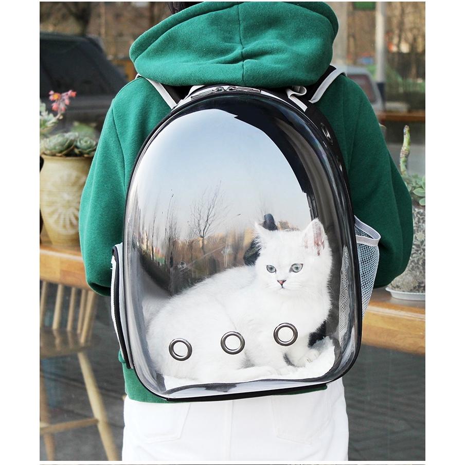 cheap cat backpack