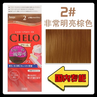 JapanhoyuHoyuCIELOXuanruo Hair Dye Plant Health Cover Gray Hair Pure Foam Cream Imported for Women