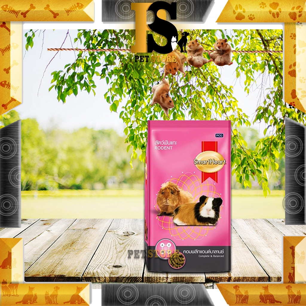 Smart Heart Rodent Guinea Pig Hamster Food 1kg Shopee Malaysia