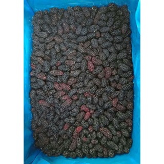 frozen mulberries