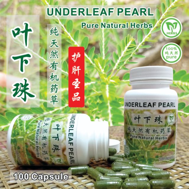叶下珠underleaf Pearl Dukung Anak 肝臟疾病x B型肝炎x 黃疸性肝炎x 脂肪肝 Shopee Malaysia
