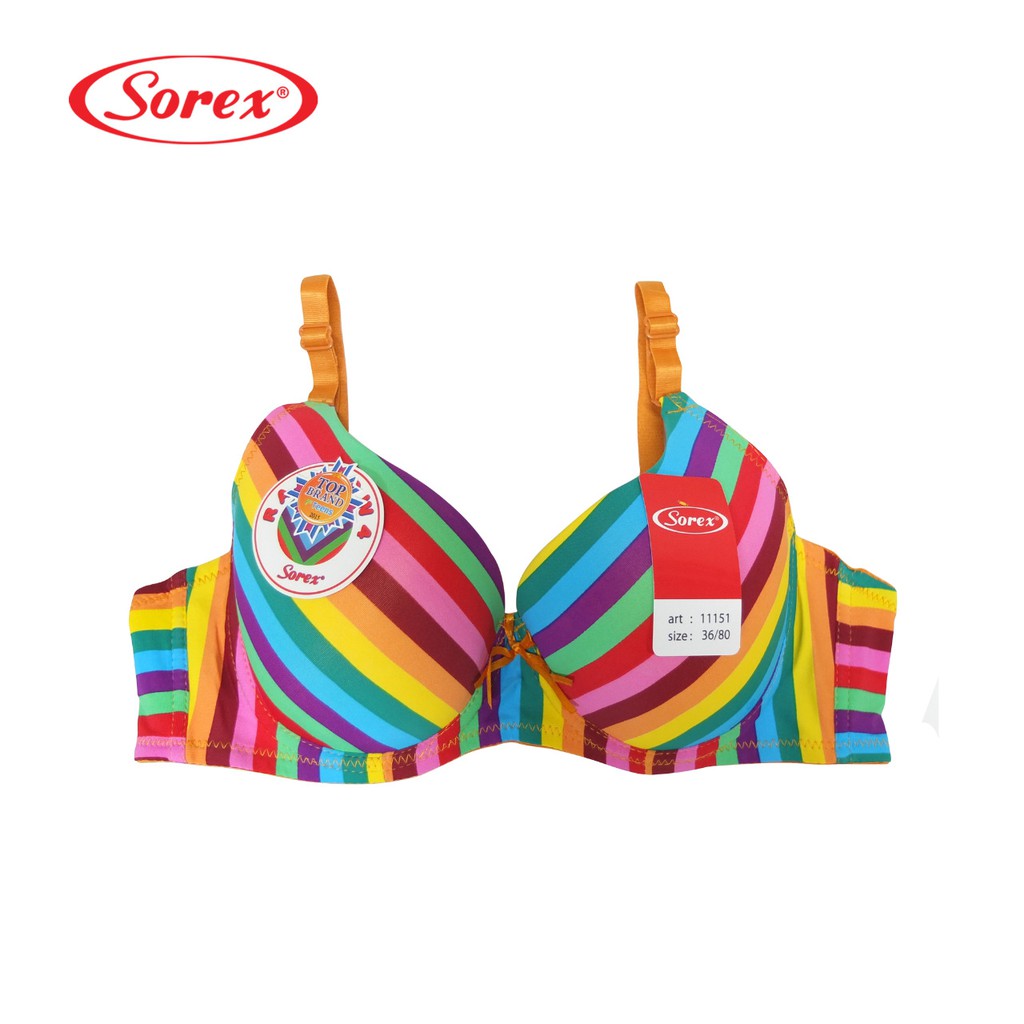 rainbow bra