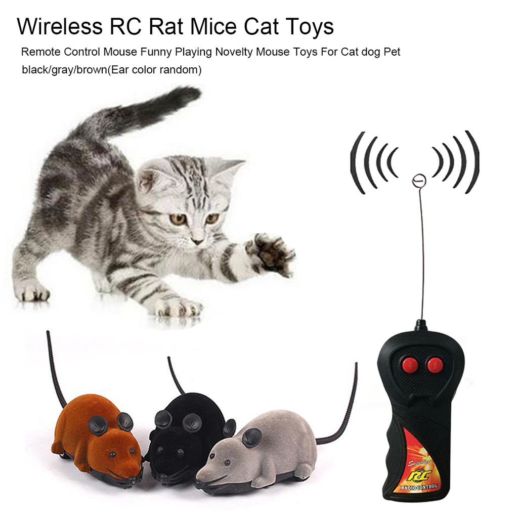 remote cat toys