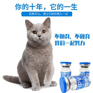 ☀ Pet Health Products 丹诺仕猫90mg 护肝维丹诺士Denosyl宠物狗猫咪 
