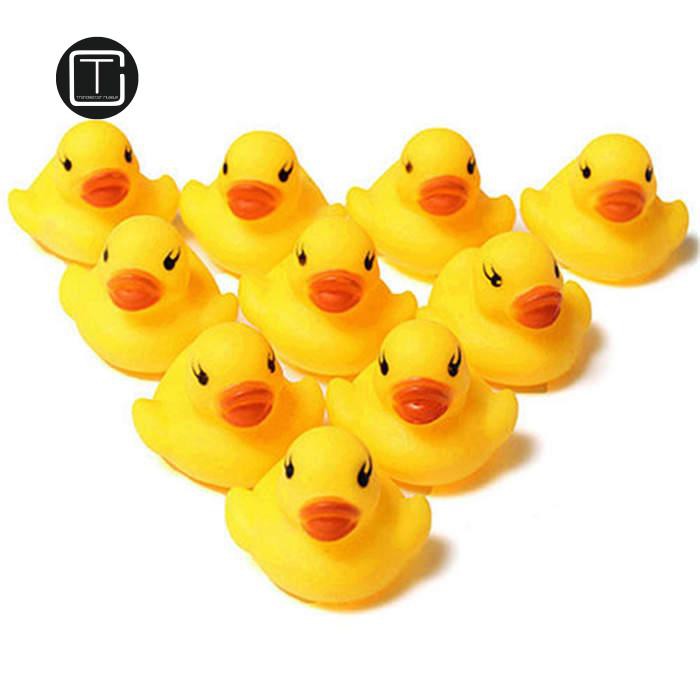 duck toys for ducks