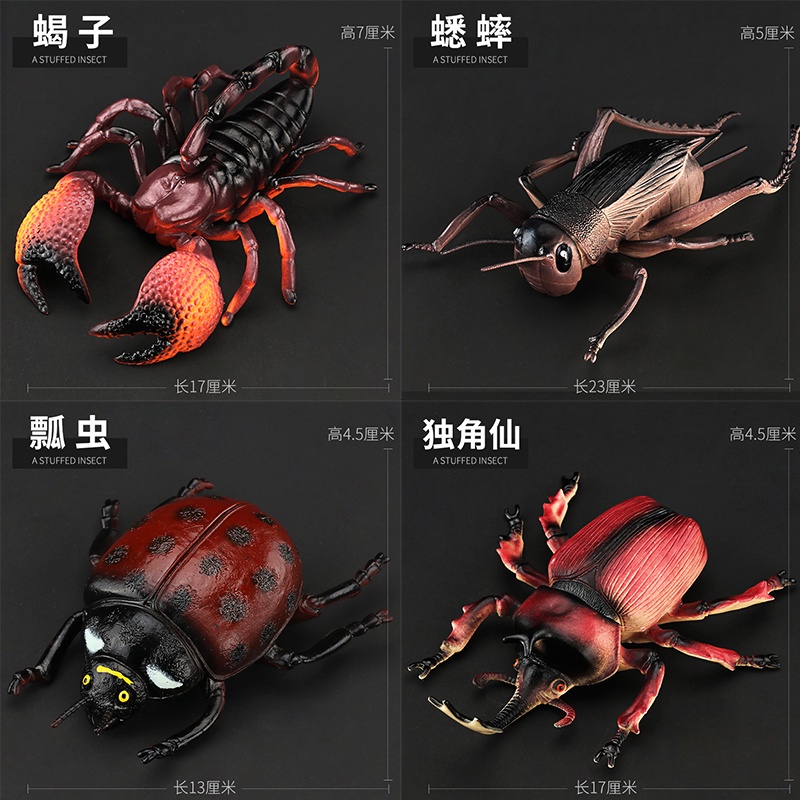 Kitchenwaremodel Serangga Kanak Kanak Mainan Simulasi Besar Model Haiwan Unicorn Labah Labah Kriket Anak Kecil Shopee Malaysia