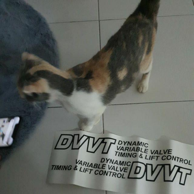 DVVT Sticker PERODUA MYVI / VIVA / AXIA / BEZZA  Shopee 