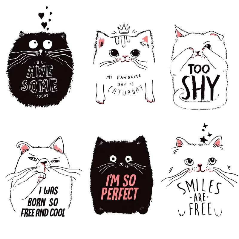 Cat Kitty Kucing Expression Wall Sticker Wall Art  Shopee Malaysia