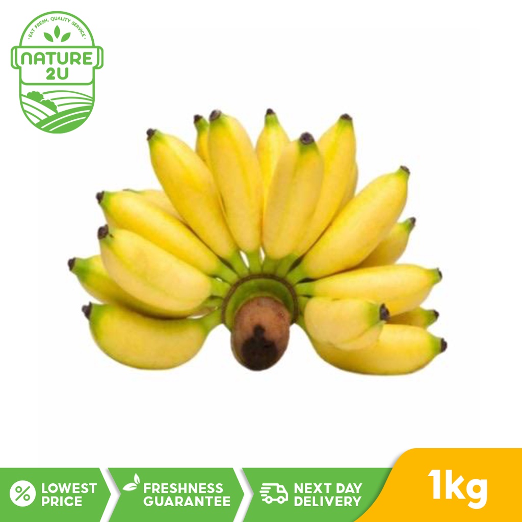 Emas pisang 14 Manfaat