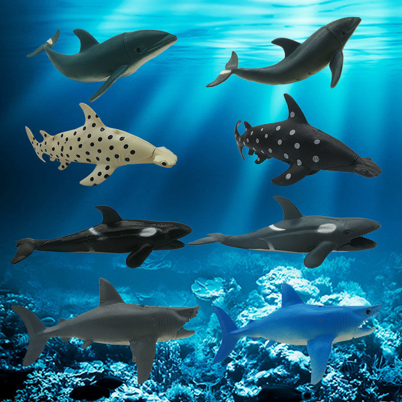 8saiz Yang Besar Getah Lembut Simulasi Binatang Model Hidupan Laut Hiu Ikan Paus Ikan Lumba Lumba Kanak Kanak Menetapkan Mainan Kanak Kanak Shopee Malaysia