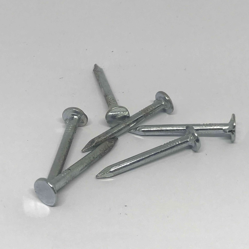 Galvanised Clout Nails Clout Nails Tack Nails Plywood Nails Paku GI (50pcs) Shopee Malaysia