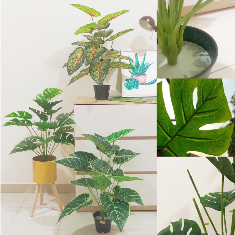 Buy Ready Stock Pasu Bunga Pokok Daun Dengan Pasu 60cm Monstera Keladi Tapak Itik Artificial Plant School Home Office Seetracker Malaysia